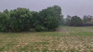 Relaxing Rain Sounds 2 hours Nature ASMR No Music