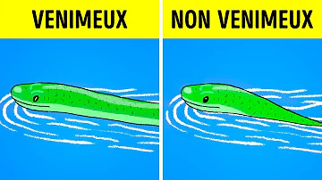 Comment faire si on croise un serpent