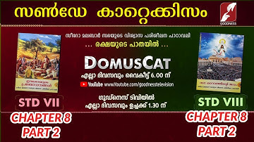 DOMUS CAT | STD 7 & 8 | CHAPTER 8 | PART 2 | SUNDAY CATECHISM
