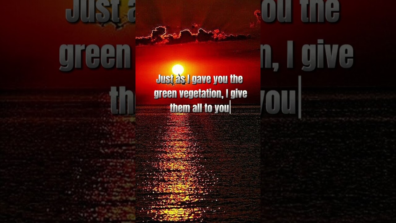 Genesis 9:3,4. Eat animal flesh but not its blood.