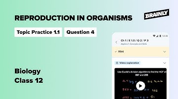 Name an organism where cell division..., All In One Biology 12, Class 12, Topic Practice 1-1.1, Q. 4