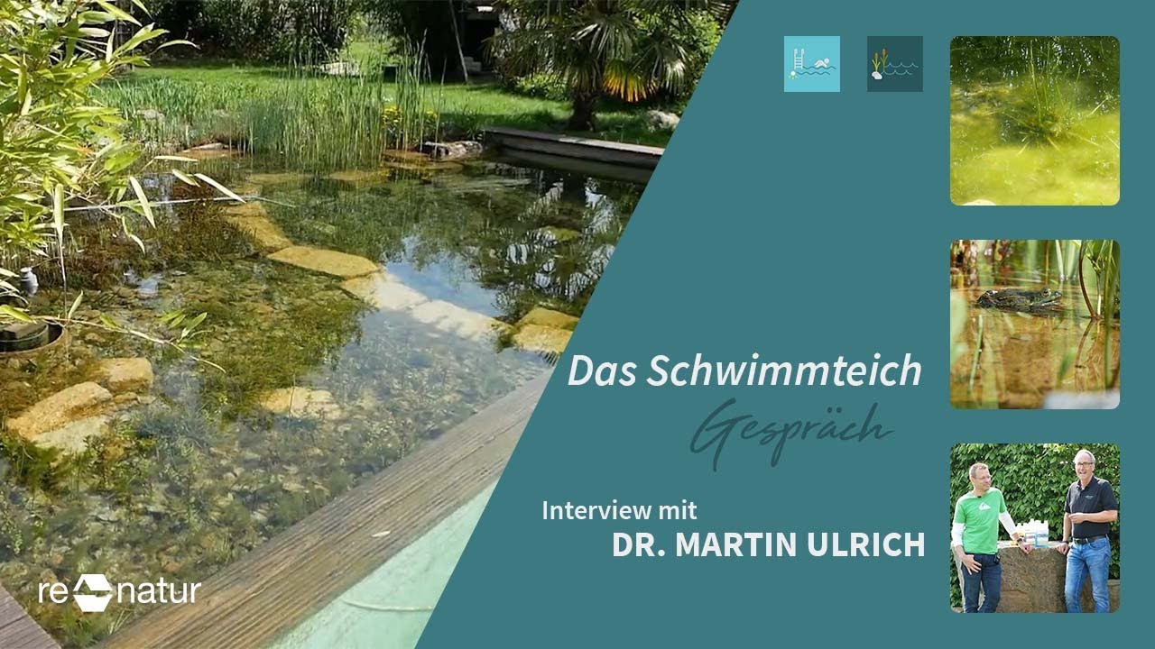 Schwimmteichgespräch zu viele Algen und Phosphat im Teich Welche