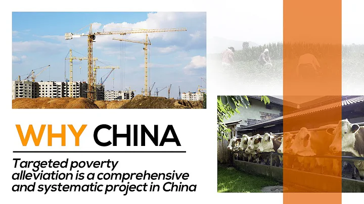 Targeted poverty alleviation is a comprehensive and systematic project in China