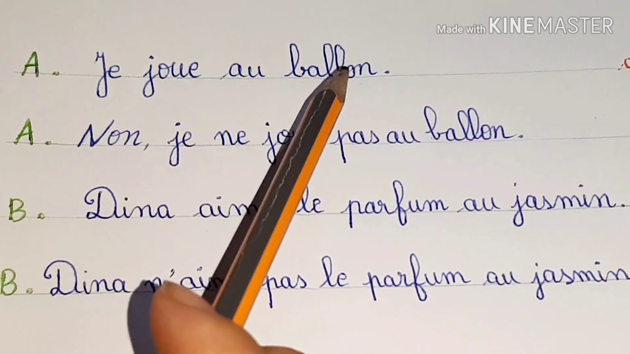 phrase affirmative/phrase négative ce1