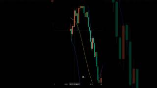 Today Nifty 50 My Profit 50