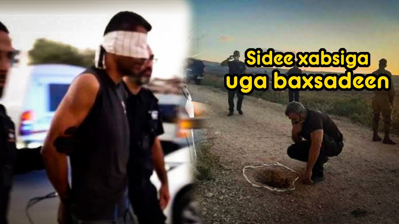 Sidee ku baxsadeen 6 maxaabiis reer falastiin ah oo ku xirnaa jeelka ugu ilaalada adag israel?