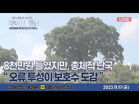 [보이는라디오] 8천만원 들였지만, 총체적 난국 &amp;<strong>quot</strong>;오류 투성이 보호누 도감&amp;<strong>quot</strong>; l <strong>LG</strong> 세이커스 홈경기, 창원시청축구단 승강 결정전 (KBS 2023.11.17 금방송