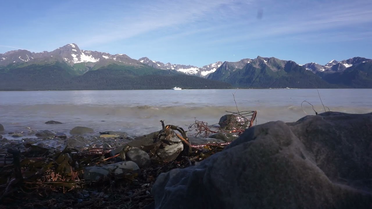 Resurrection Bay | 8/29/2025