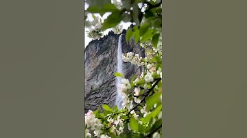 Thumbnail of El paraíso existe sólo que las almas involucionadas no pueden verlo🌿🌾