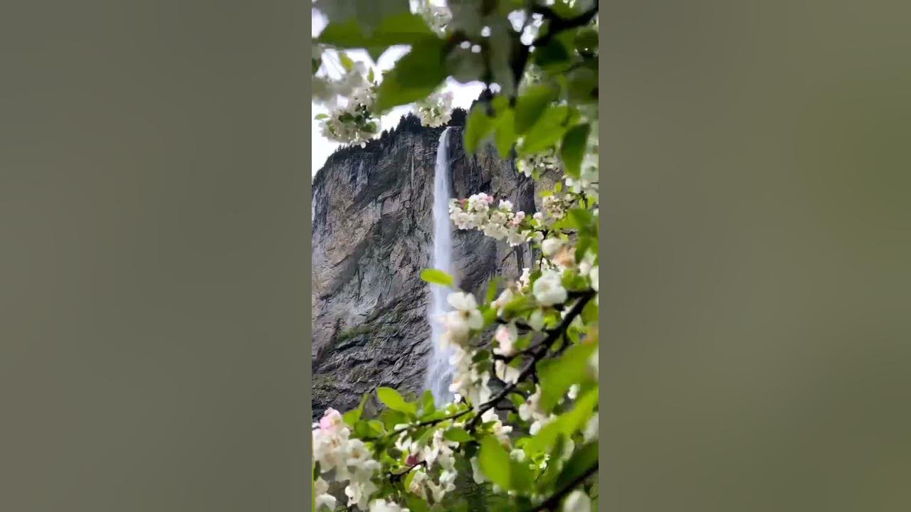 El paraíso existe sólo que las almas involucionadas no pueden verlo🌿🌾