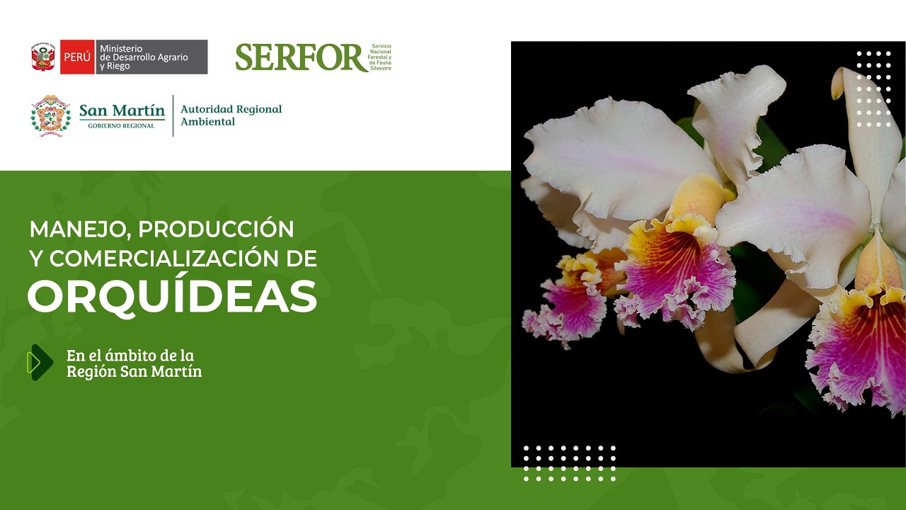 Capacitación: Manejo, producción y comercialización de orquídeas