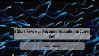 A Short Review on Polyamine Metabolism in Sperm Cell