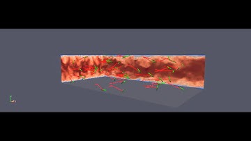 Fibers path in a turbulent channel flow   DNS