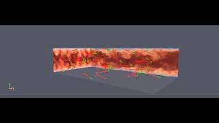 Fibers path in a turbulent channel flow   DNS