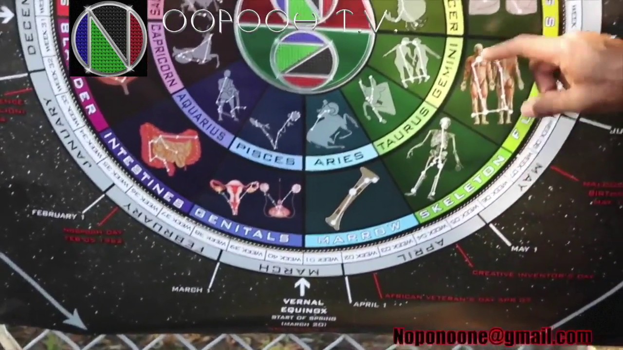 Anoot NoopooH Presents The Nodiac on Baba T V - YouTube
