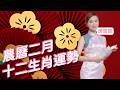 農曆二月十二生肖運勢（新曆3月5日至4月4日）｜ 屬X的朋友今個月是工作運相當強勁的月份｜屬X的朋友今個月是相害的月份 所以人緣、人際關係方面相當一般｜屬X的朋友不建議出入任何陰氣重的地方