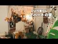 【35歳ひとり暮らし】誰にも邪魔されない夜に