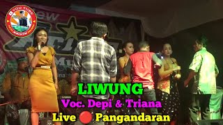 Liwung || Voc. Depi & Triana || New Arista Music || Banjarnegara || Live 🔴 Pangandaran