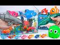 [Toy asmr] Robo Fishing Playset &amp; Zuru Alive Aquarium ASMR Satisfying with Unboxing Review Toys