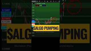 Algorand ( ALGO ) PUMPING! ( May 29 )