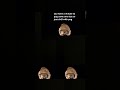 Pug part 2 #rivalslive #roblox #1v1custom #rivals #memes #1sv1 #funny #rivalsworkshop #rocketleauge