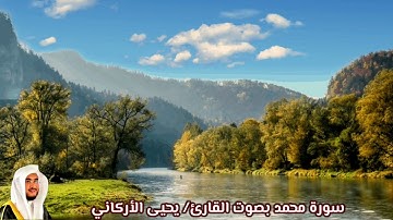 سورة محمد (صدى) بصوت القارئ/ يحيى الأركاني - Surat Muhammed