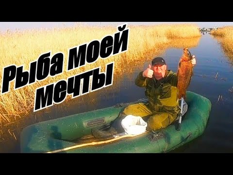 Video: Dmitriy Pavlovich Mixalchenko: Tarjimai Holi, Martaba Va Shaxsiy Hayoti