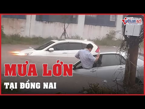 Video Mưa lớn ở Đồng Nai khiến hàng loạt xe máy bị cuốn đi |... - youtube