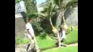 Pusu Ate. musik ende lio