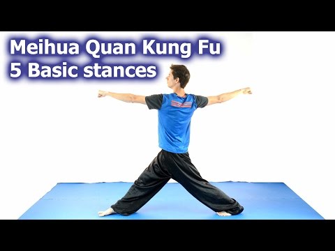 Meihua quan kung fu 5 basic stances
