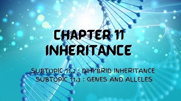 BIOLOGY FORM 5 KSSM : CHAPTER 11 INHERITANCE (SUBTOPIC 11.2 & 11.3)
