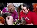 Сибирский зоопарк в Иркутске отзыв