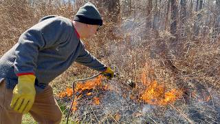Redneck Weed and Tick Control #redneck #landscapingprojects