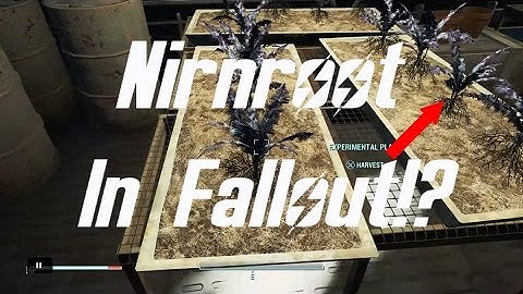 Fallout 4 Easter Egg | NIRNROOT IN FALLOUT!?
