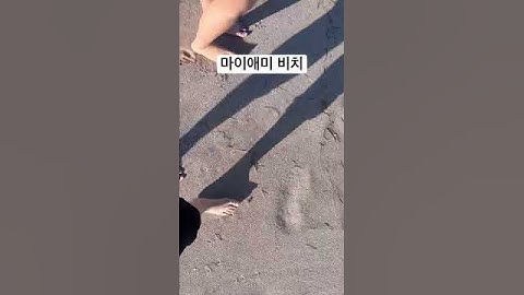 꼭 한번 가봐야 하는 미국 최고의 해변가, 마이애미 비치 #shorts #miami #miamibeach #미국 #미국여행 #마이애미 #플로리다