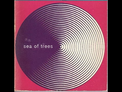 Spectres (6) — Spectres - Sea Of Trees (Official Video)