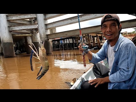 Spot Mancing Udang Galah Di Pontianak