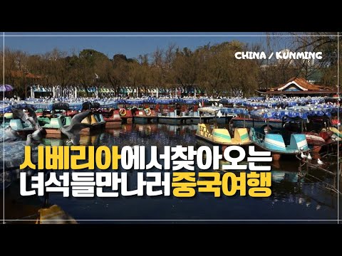 해외여행지 추천, 중국 운남성 쿤밍 무비자 여행으로 취호공원에서 우리 겨울에 만나