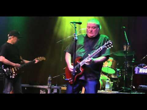 Los Lobos-Come On Let's Go (Live Brooklyn Bowl London 30/06/2015)