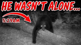 SCARY Trail Camera Clips! May 2026 Highlights SCARY Trail Camera Clips! May 2026 Highlights
