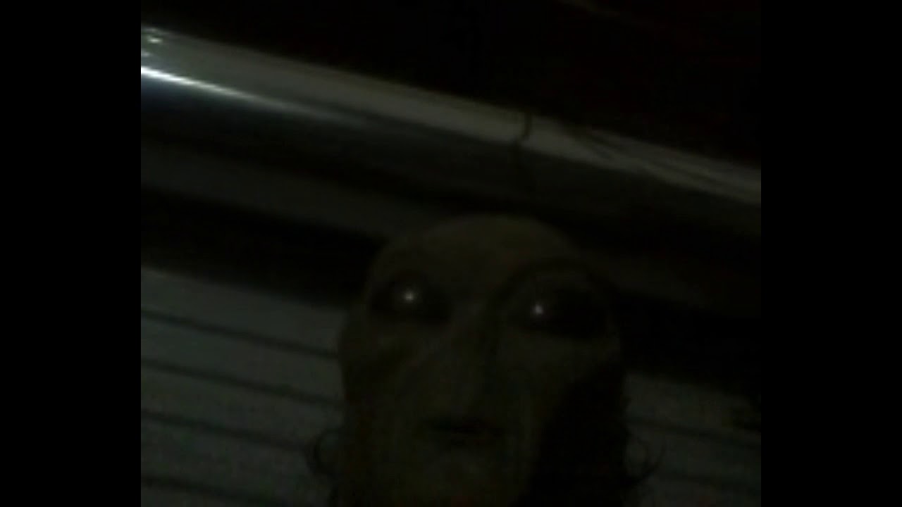 Alienween alien on alien hallidays