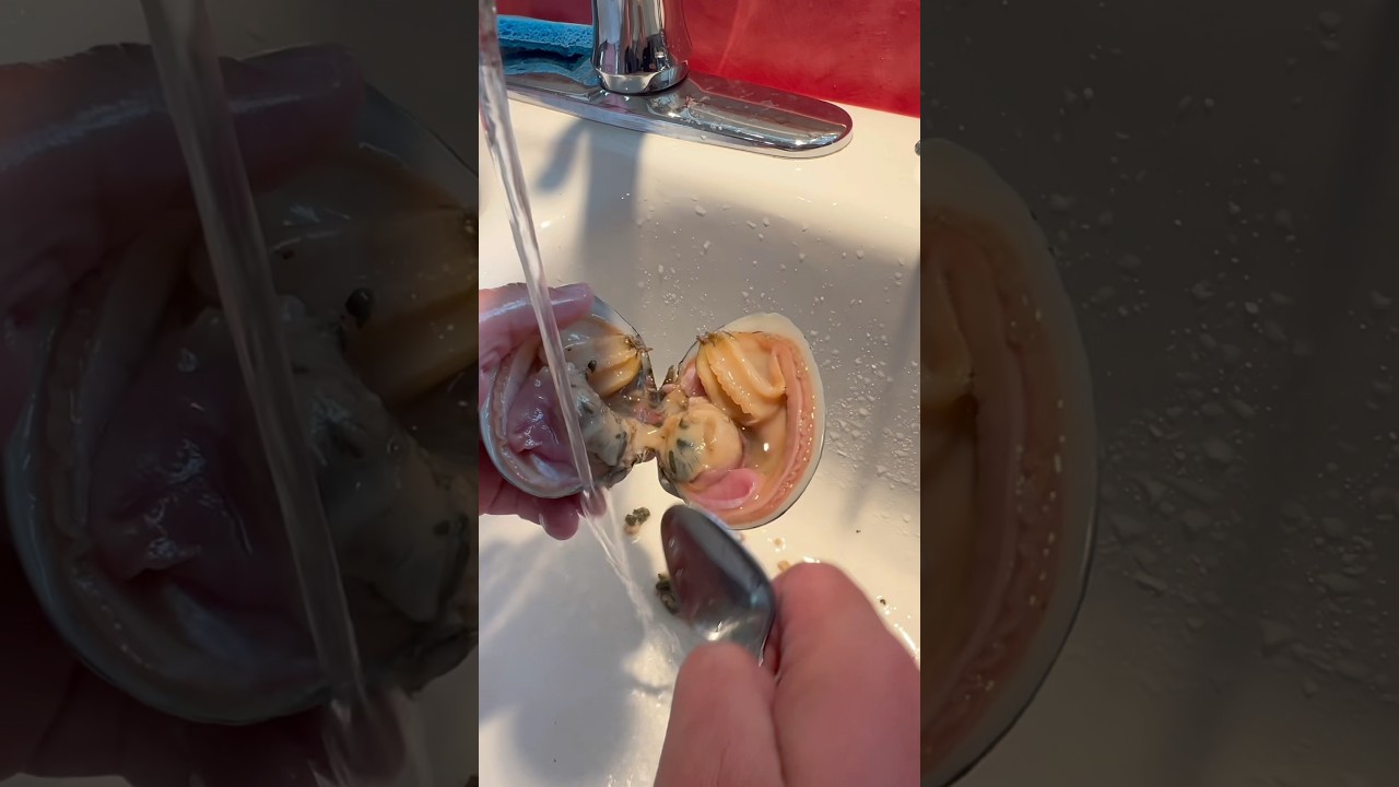 The Best Way to Clean Your Butter Clams: Step-by-Step Guide!