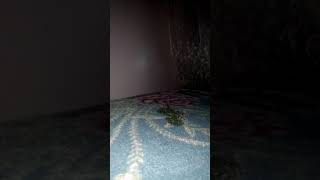 حاجات لازم تقوليها لبنتك في فترة البلوغ screenshot 2