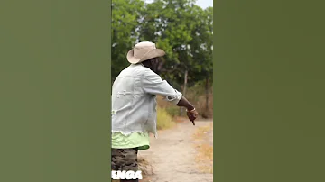 SHALO WA KISUKUMA 