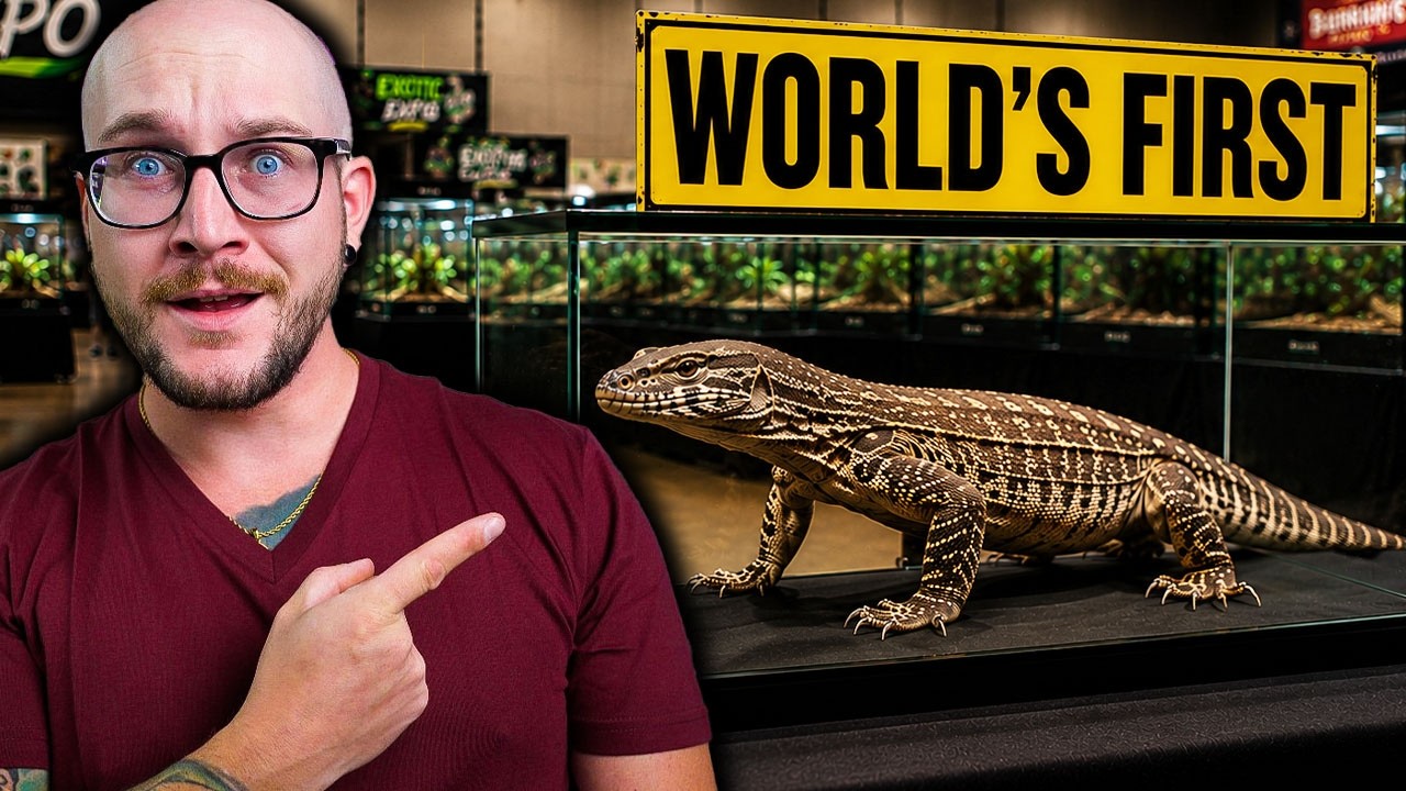 The Worlds RAREST Lizard at Tinley Reptile Expo