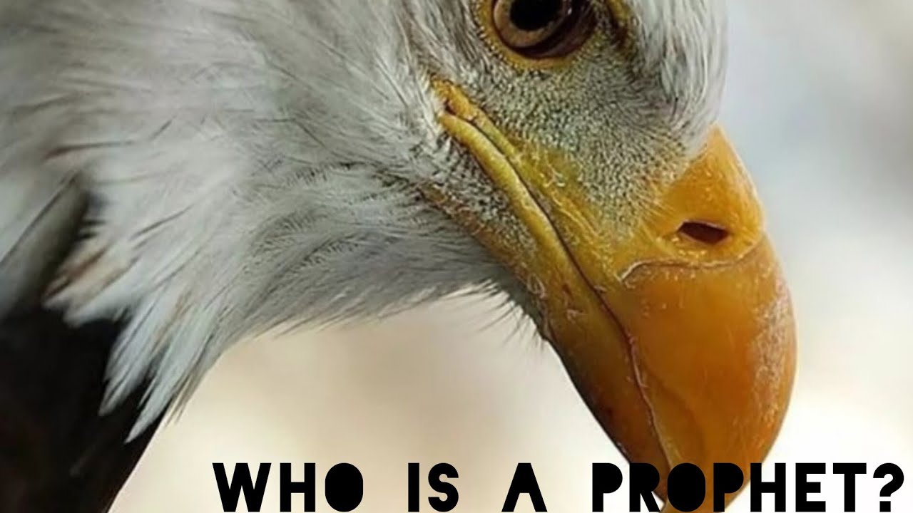 NABII NI NANI? NA KAZI YAKE NI IPI? // WHO IS A PROPHET? WHAT IS HIS ROLE? - Prophet Moses Richards