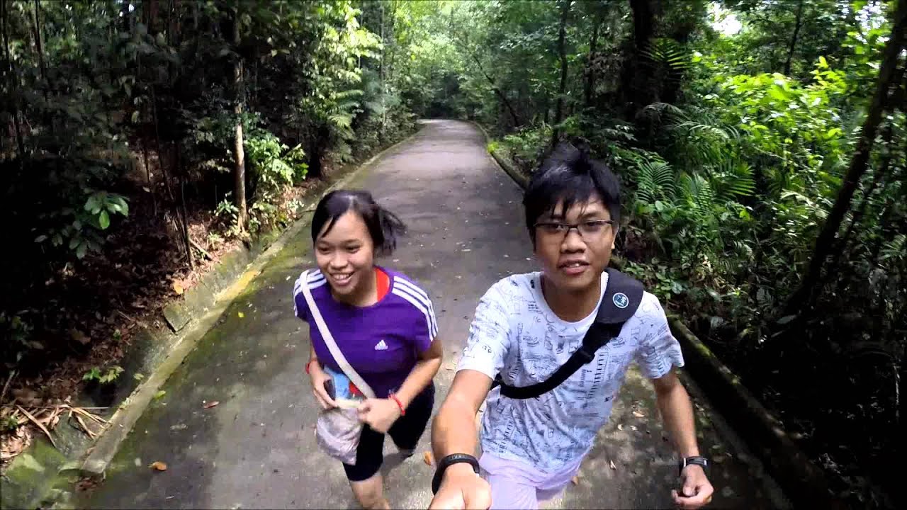 MacRitchie HSBC TreeTop Walk