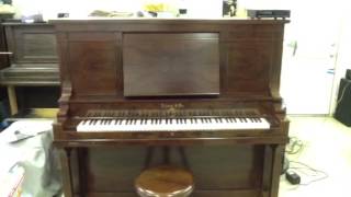 Ludwig Player Piano