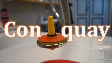 Con quay hồi chuyển