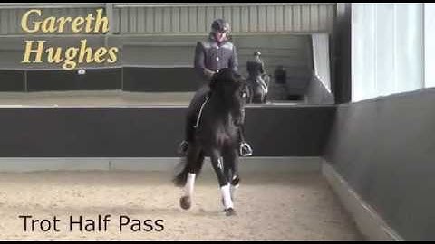 Gareth Hughes Teaches the Trot Half Pass